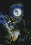 (image for) Moon Dance